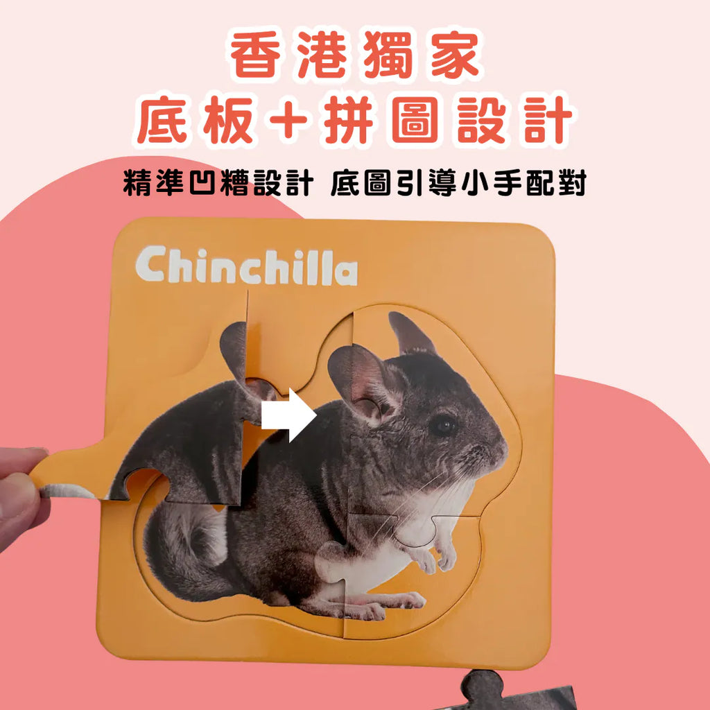 CuriosⓇ 寵物幼兒拼圖（8種）
