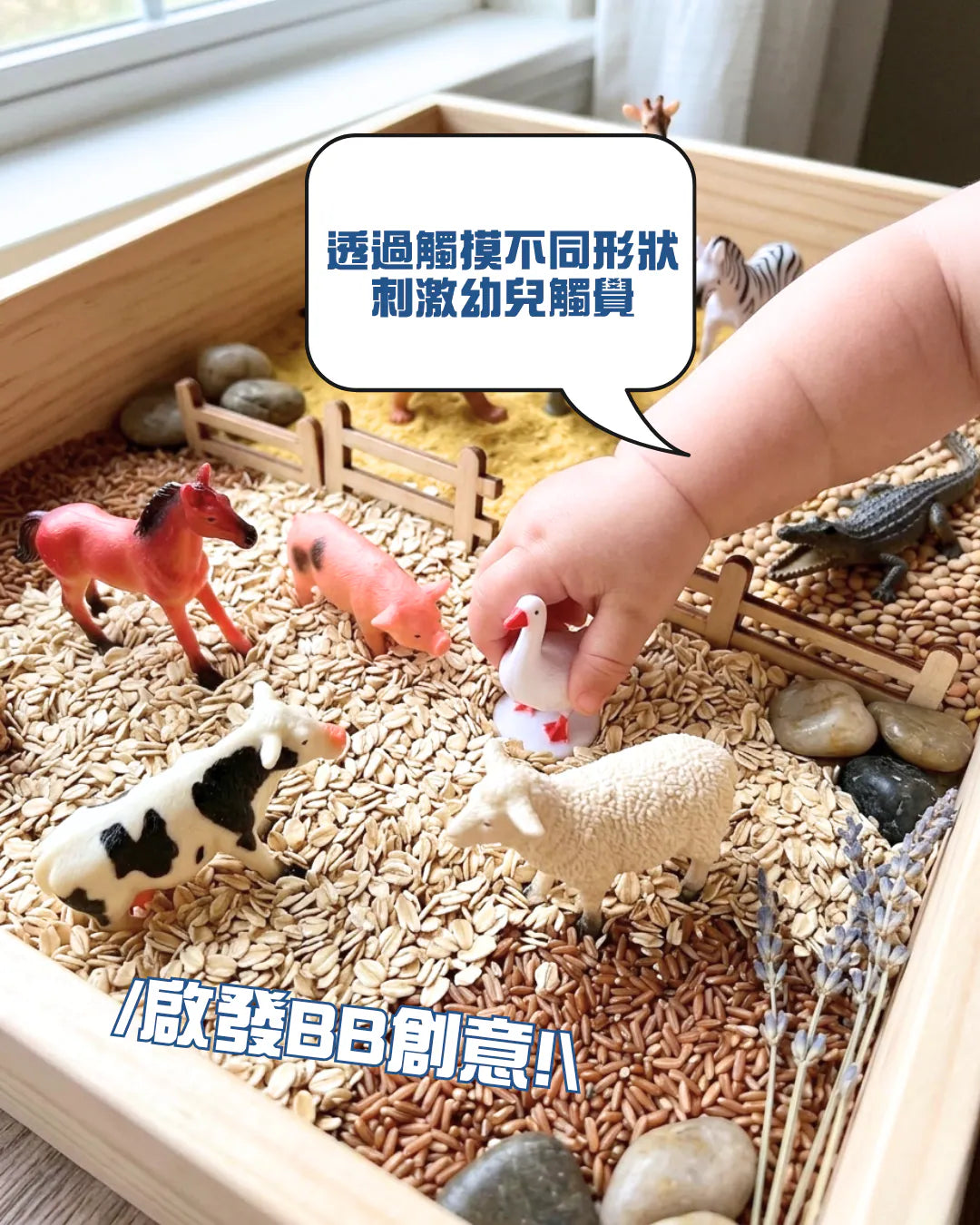 Curios®️野生農場動物模型 (一筒10隻)