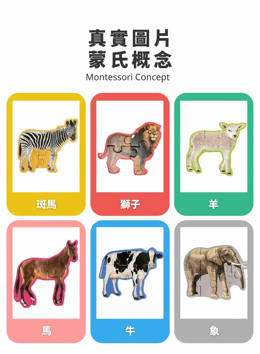 CuriosⓇ 動物幼兒拼圖（10種）