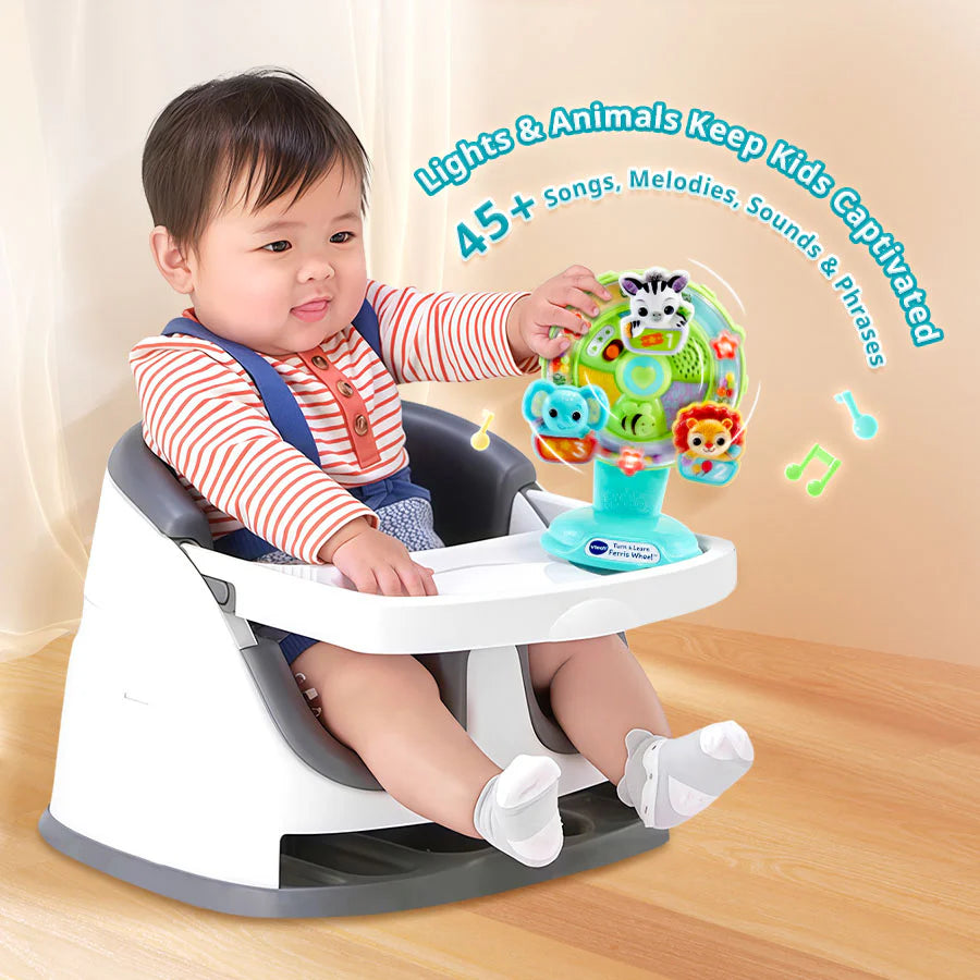 VTech Turn & Learn Ferris Wheel
