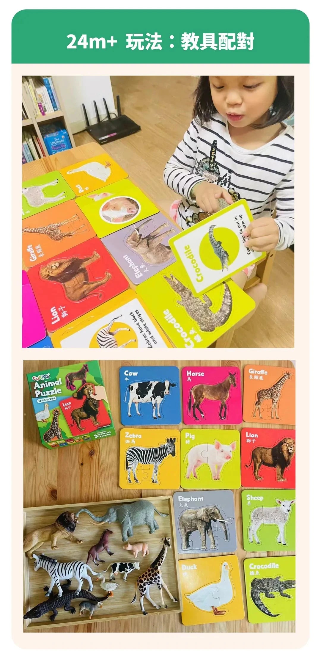CuriosⓇ 動物幼兒拼圖（10種）