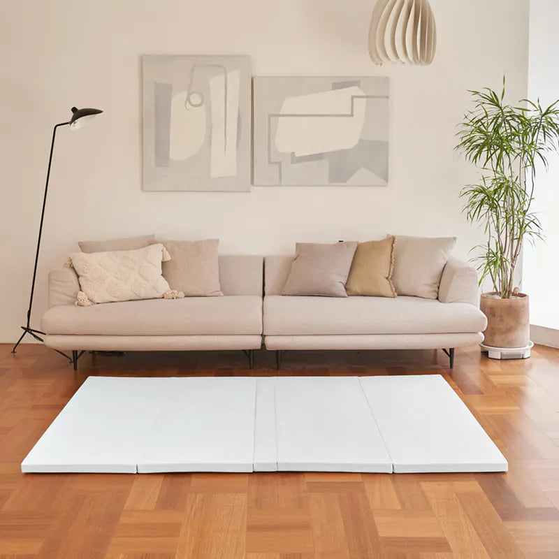 Caraz Zero Clean Ultra Foldable Mat (Free Delivery)