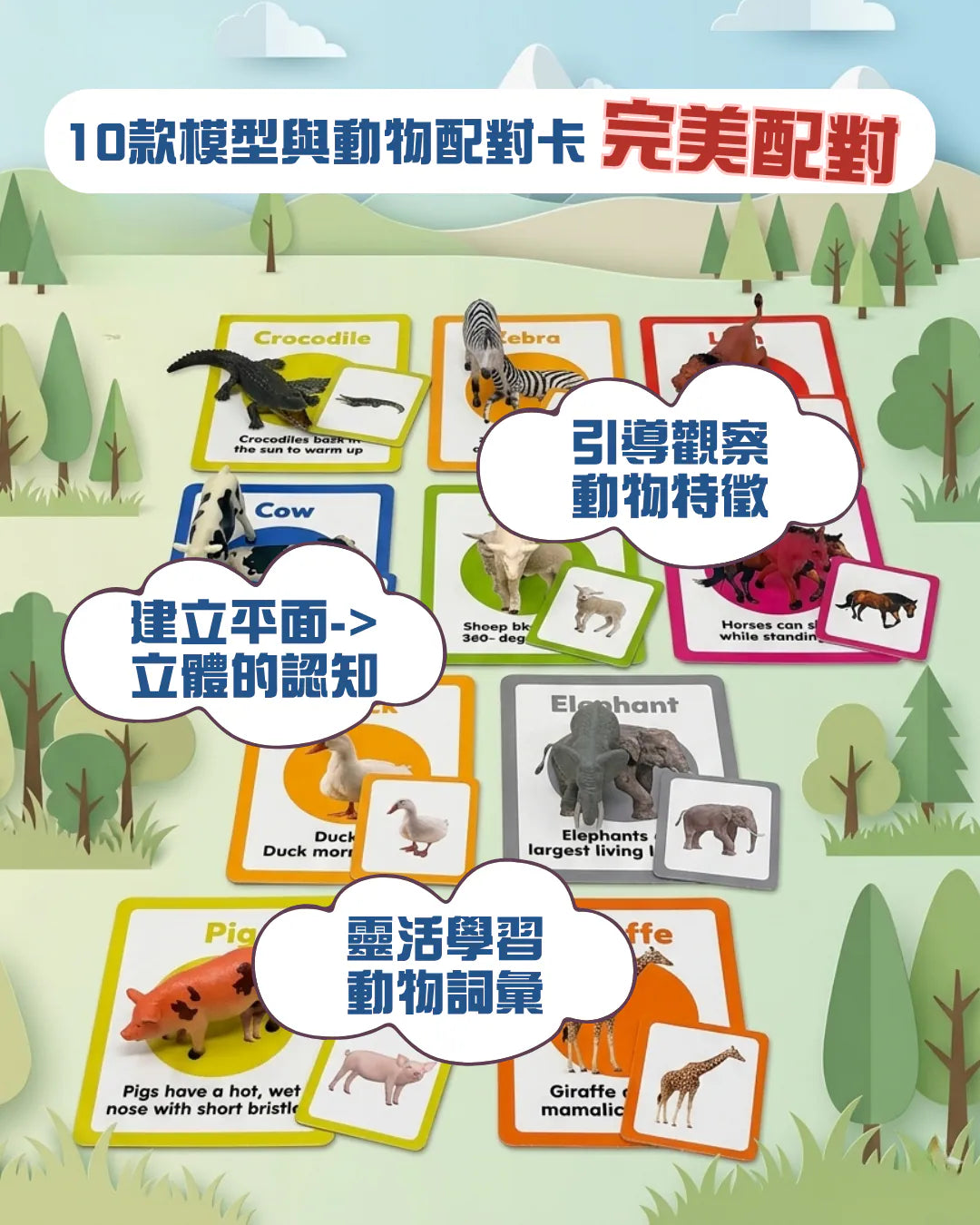 Curios®️野生農場動物模型 (一筒10隻)