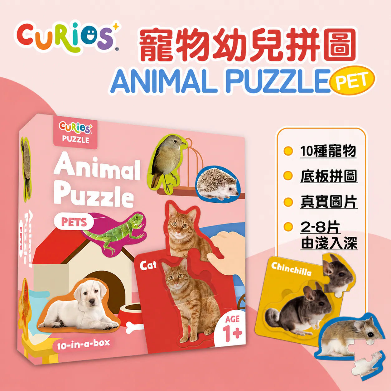 CuriosⓇ 寵物幼兒拼圖（8種）