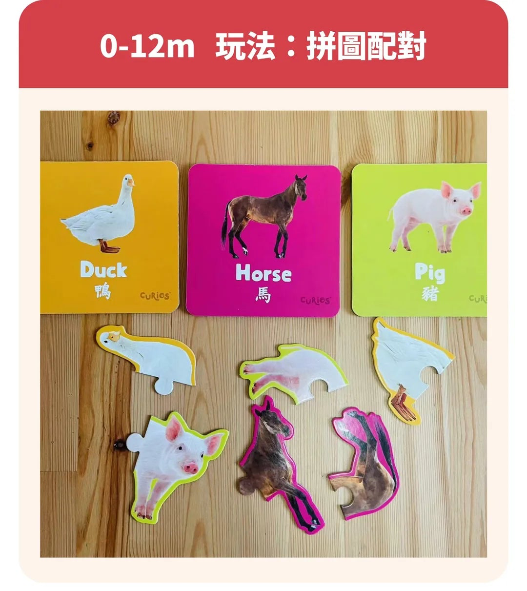 CuriosⓇ 動物幼兒拼圖（10種）