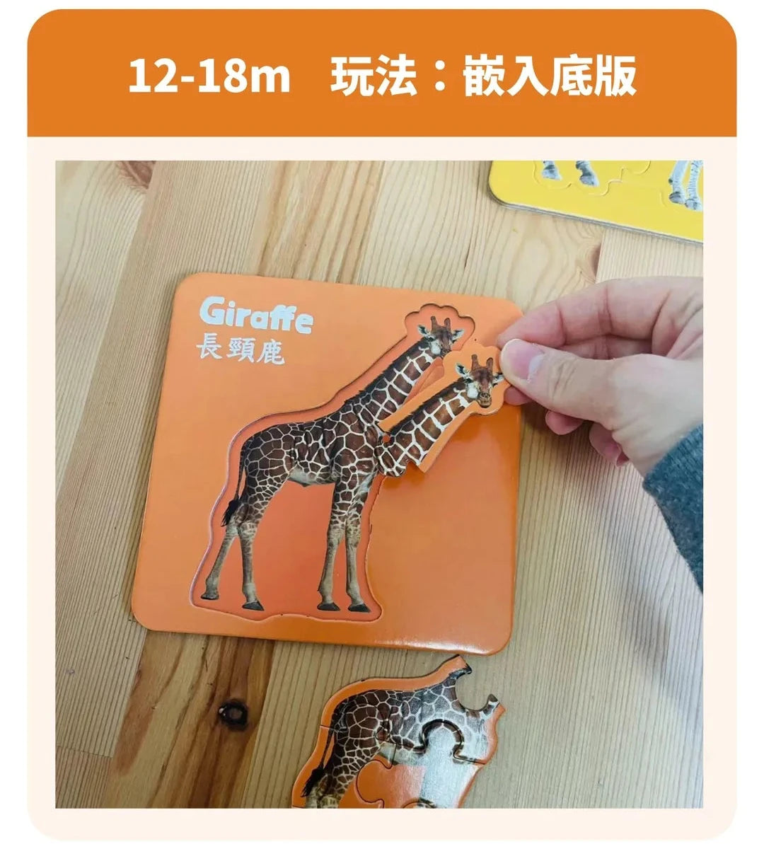 CuriosⓇ 動物幼兒拼圖（10種）