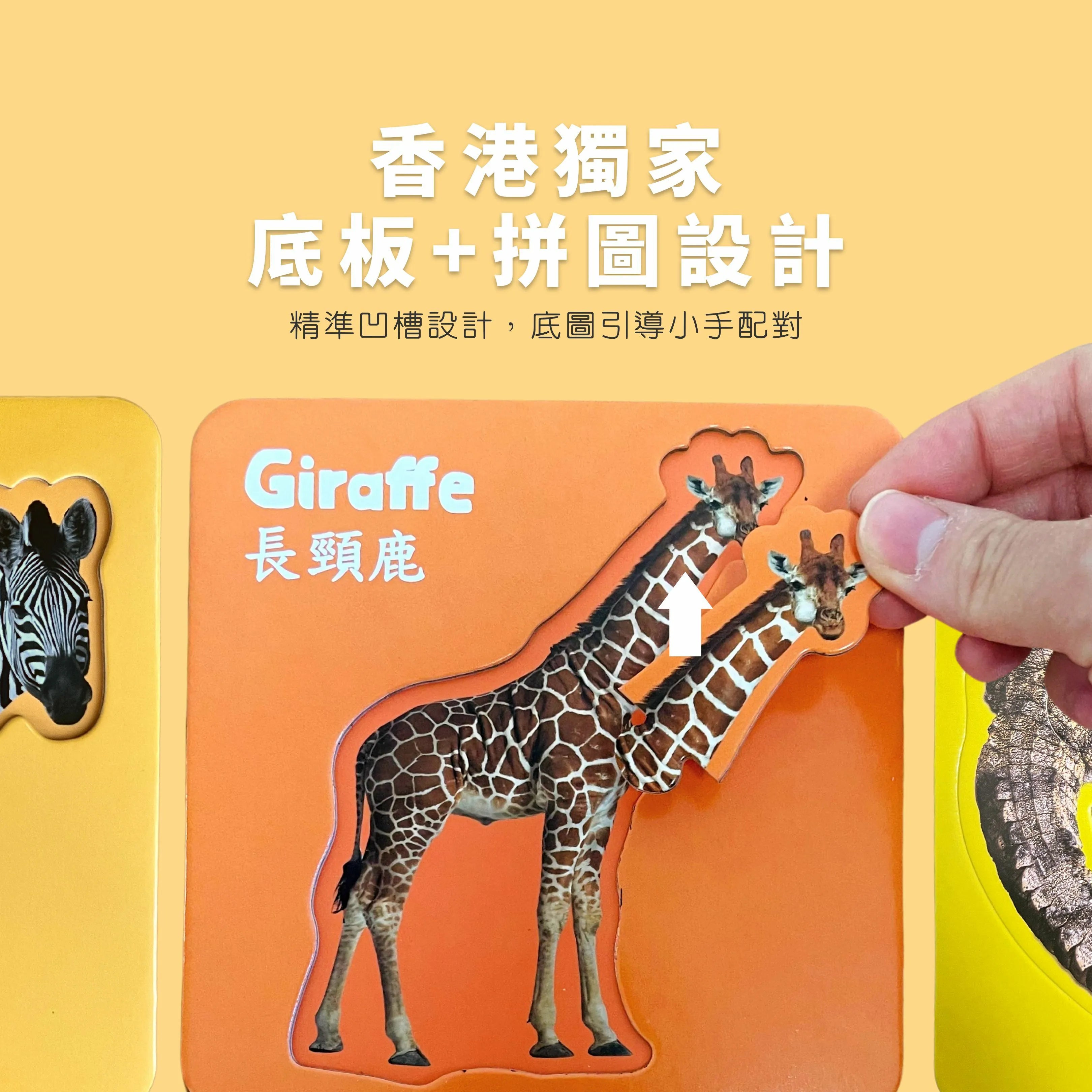 CuriosⓇ 動物幼兒拼圖（10種）
