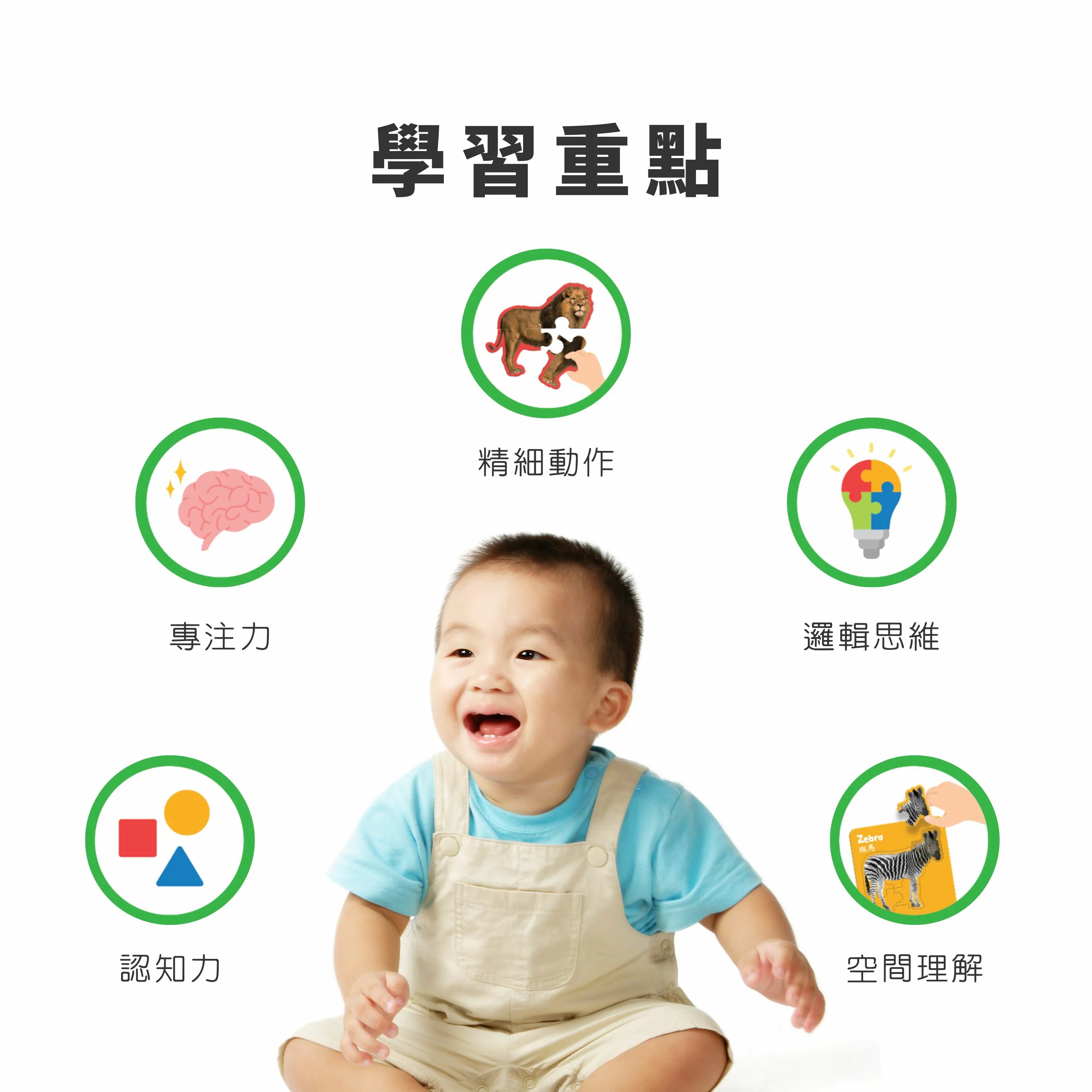 CuriosⓇ 寵物幼兒拼圖（8種）