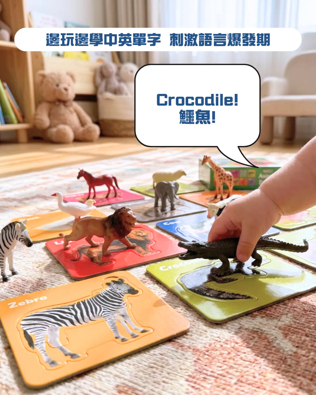 Curios®️野生農場動物模型 (一筒10隻)